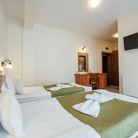 Гостевой дом Pensiunea Comfort *