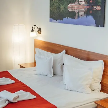 Pensiunea Comfort