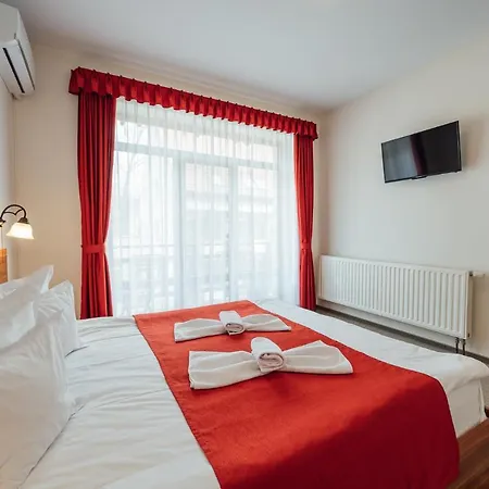 Гостевой дом Pensiunea Comfort
