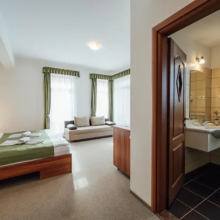 Pensiunea Comfort Гостевой дом *